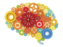cerebro