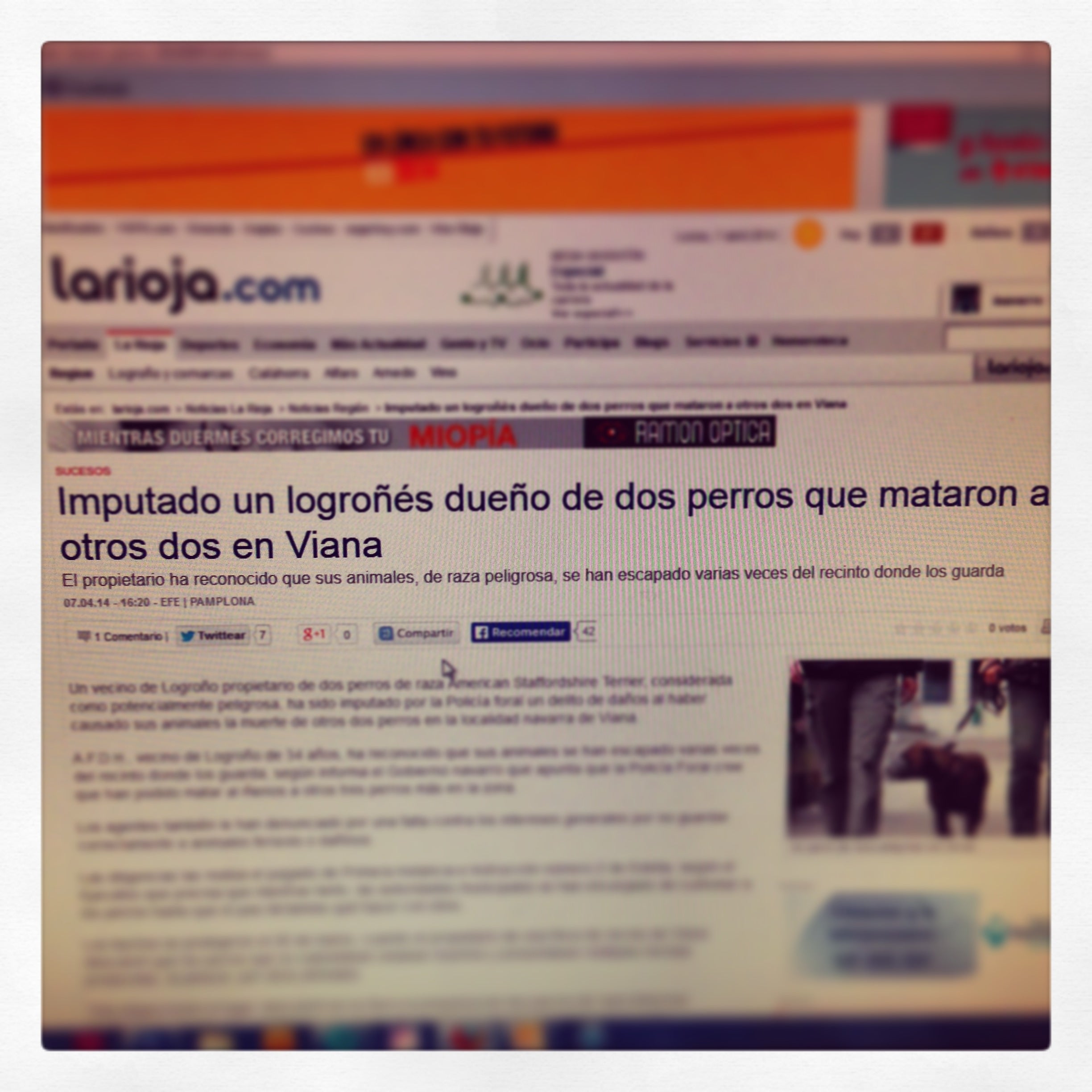 la foto(1)