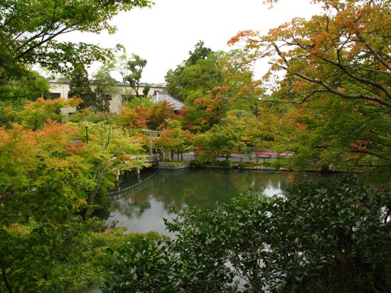 Templos de Kyoto Templos de Kyoto