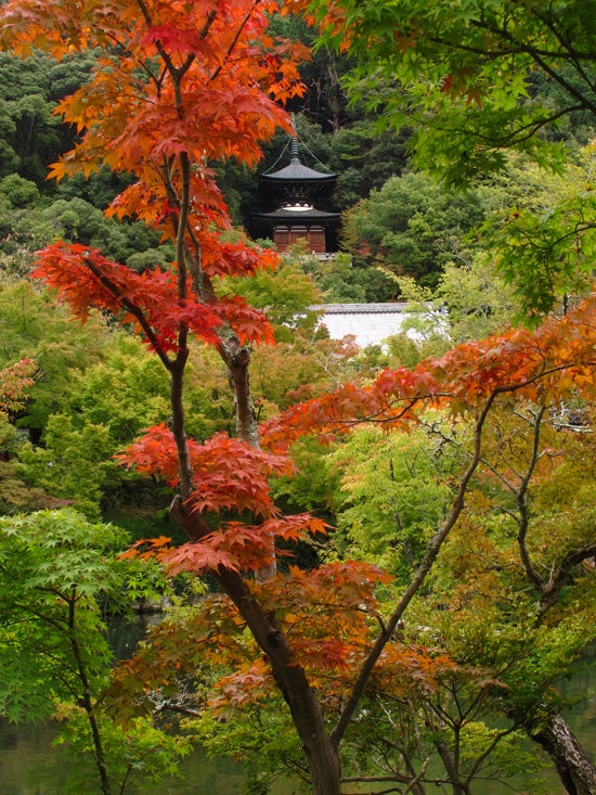 Templos de Kyoto Templos de Kyoto