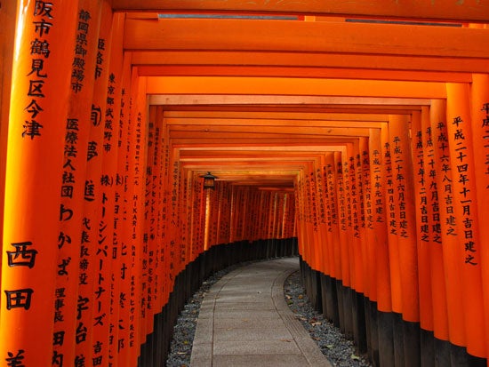 Fushimi Inari Fushimi Inari