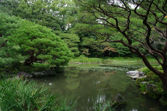 Templos de Kyoto Templos de Kyoto
