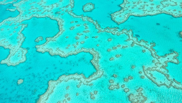La Gran Barrera de Coral vista desde el cielo cerca de las islas Whitsunday. Fotografía de atiger / Shutterstock La Gran Barrera de Coral vista desde el cielo cerca de las islas Whitsunday. Fotografía de atiger / Shutterstock