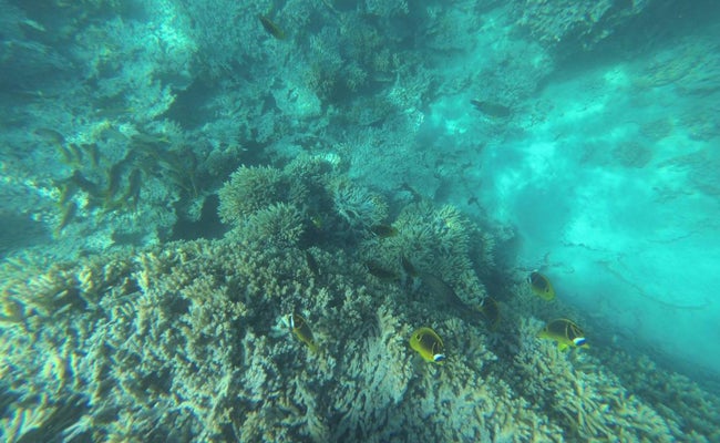 Isla Mauricio | Blog 'La vida en el aire'
