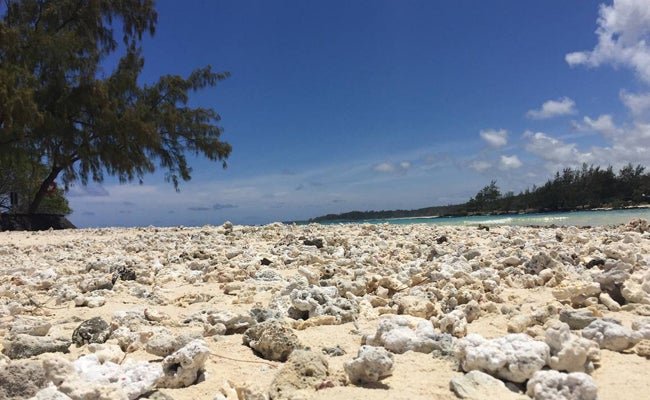 Isla Mauricio | Blog 'La vida en el aire'