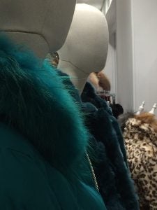maniquis