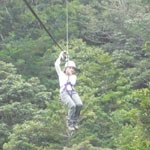 Monteverde: de árbol en árbol