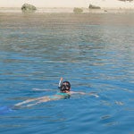 El mar de Flores: peces, coral y atardeceres de cuento
