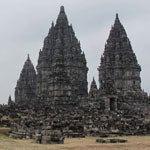 Prambanam y la locura por los pájaros