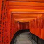 Fushimi Inari, el Pabellón Dorado, el Palacio Imperial