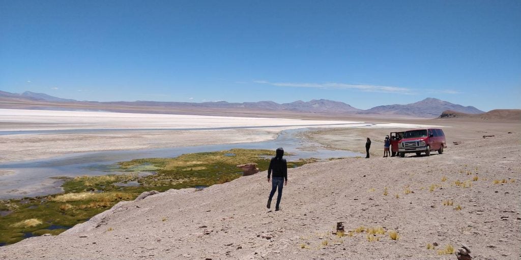 Qué ver en San Pedro de Atacama. Salar de Tara