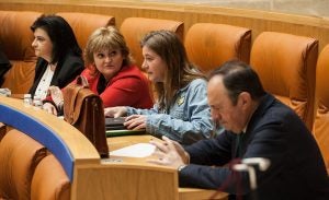 Sanz, Manzanos, Bastida y Arruga, durante el pleno del jueves. Foto de Díaz Uriel