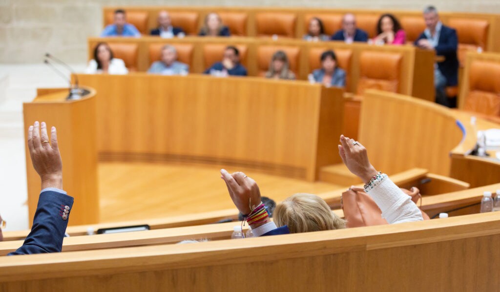 Votación durante el pleno del Parlamento de La Rioja. Foto de Sonia Tercero