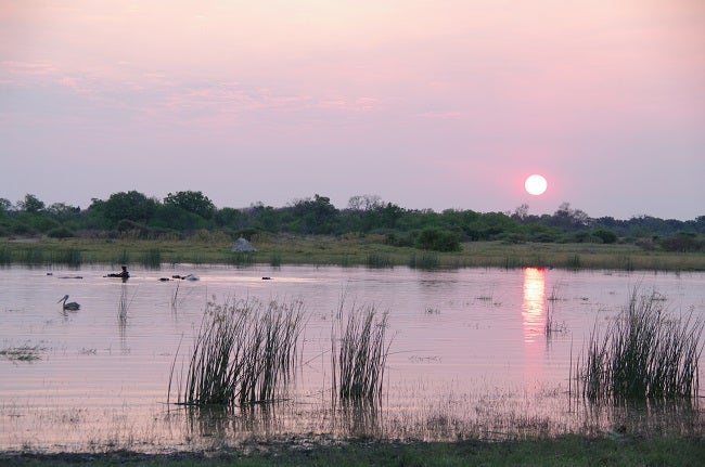 safari-botswana-blog-lavidaenelaire-25