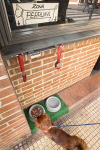 Bebederos para perros a la entrada del bar Beitia de la calle Somosierra de Logroño. Foto de Justo Rodríguez