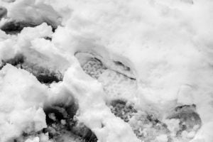 nieve2017_trm_0017baja